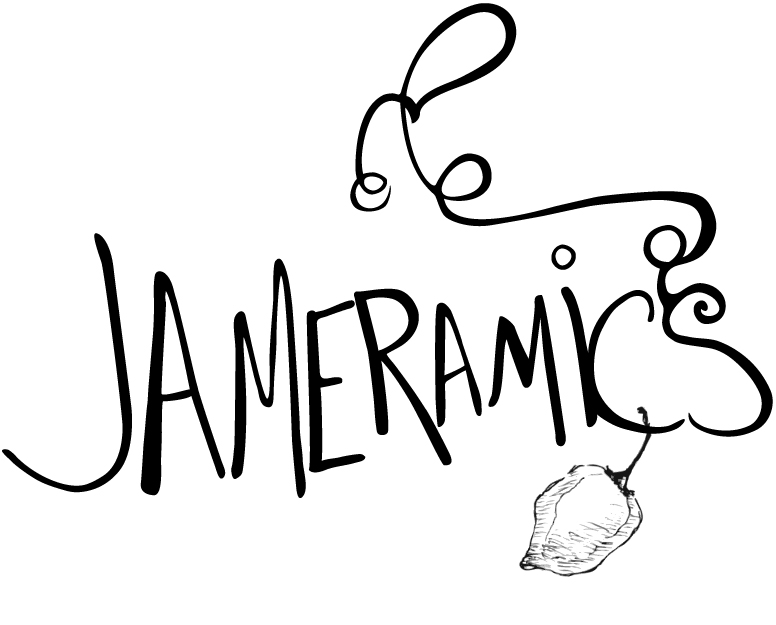 Jameramics custom logo design